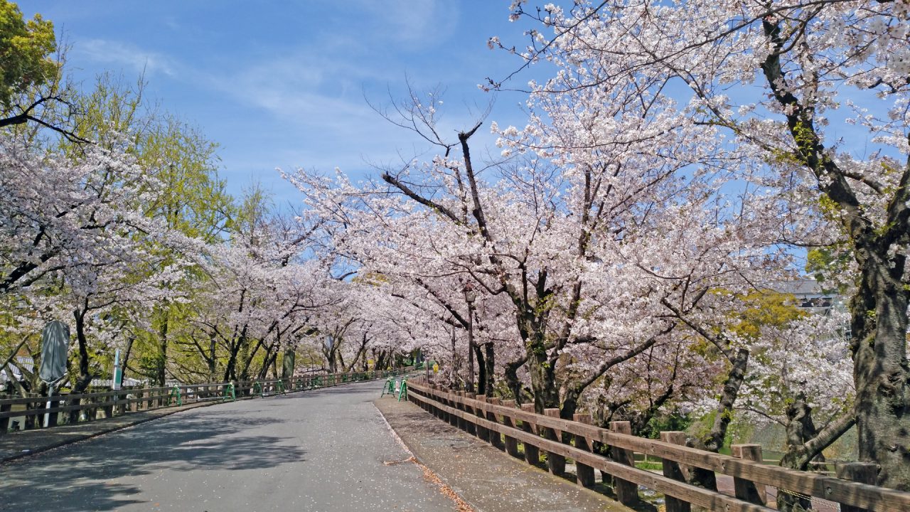 熊本地震