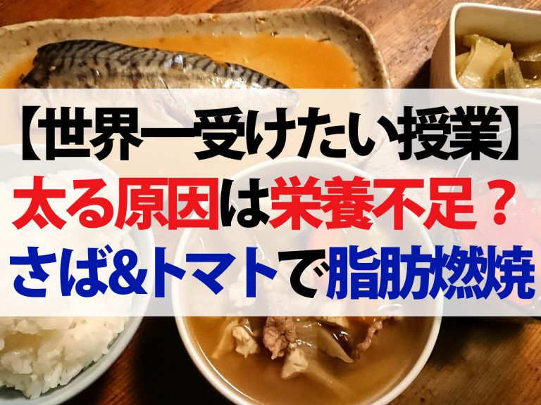 【世界一受けたい授業】太る原因は栄養不足(6月8日放送)！？さば缶＆トマトで脂肪燃焼UP【太らない栄養の取り方と調理法】