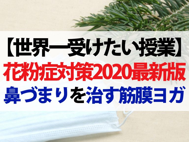 【世界一受けたい授業】花粉症対策2020最新版！花粉症筋膜ヨガで鼻づまりを解消