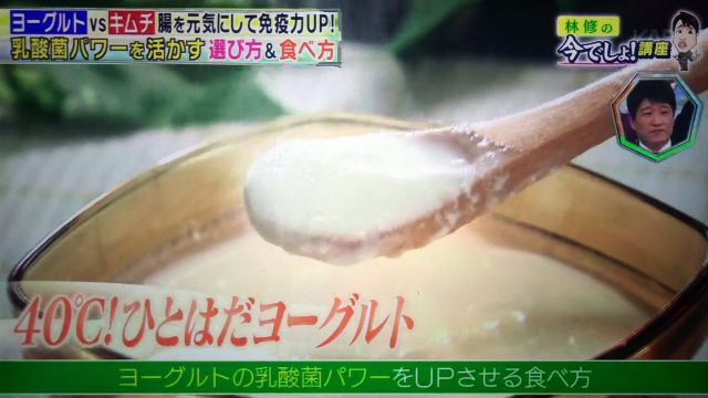 【林修の今でしょ講座】ヨーグルトの乳酸菌パワーで免疫力UP｜レンジで人肌に温める