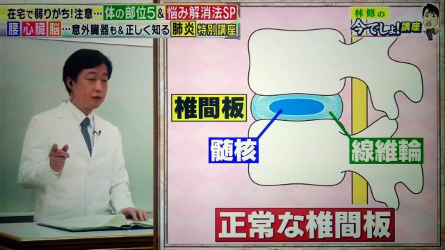 【林修の今でしょ講座】腰痛改善！壁ドンストレッチのやり方｜腰に負担をかけない座り方