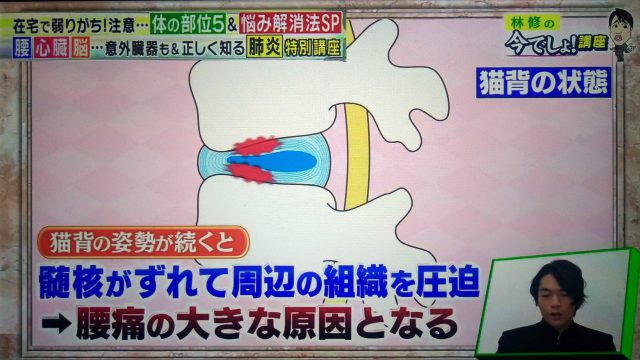 【林修の今でしょ講座】腰痛改善！壁ドンストレッチのやり方｜腰に負担をかけない座り方