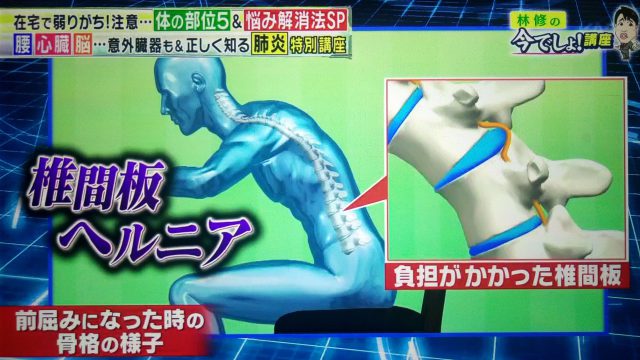 【林修の今でしょ講座】腰痛改善！壁ドンストレッチのやり方｜腰に負担をかけない座り方