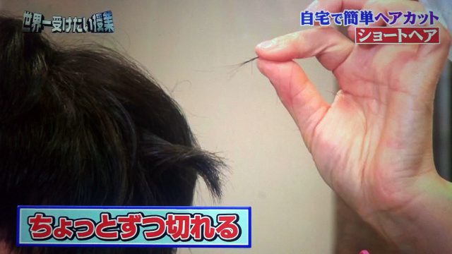 【世界一受けたい授業】自宅でヘアカットのやり方｜オダギリジョー担当の人気美容師が教える