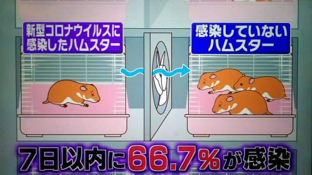 【林修の今でしょ講座】マスク＆消毒の正しい知識｜最新研究でここまでわかった