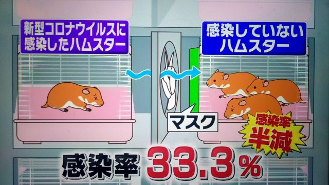 【林修の今でしょ講座】マスク＆消毒の正しい知識｜最新研究でここまでわかった