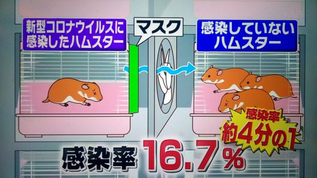 【林修の今でしょ講座】マスク＆消毒の正しい知識｜最新研究でここまでわかった