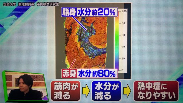 【林修の今でしょ講座】夏マスク熱中症対策まとめ｜熱中症に一番有効なマスク素材は？