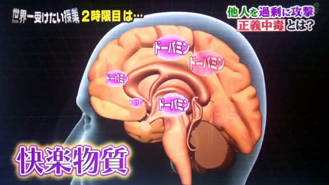 【世界一受けたい授業】日本人が陥りやすい正義中毒とは？〇〇〇は脳が衰えているサイン