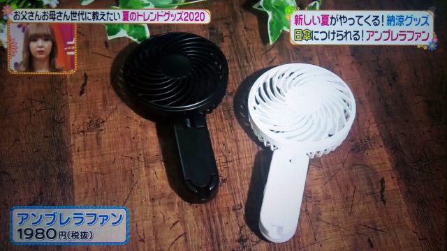 【ヒルナンデス】夏のトレンドひんやりグッズ2020まとめ｜ハンズフリーファンからアセダレーヌまで