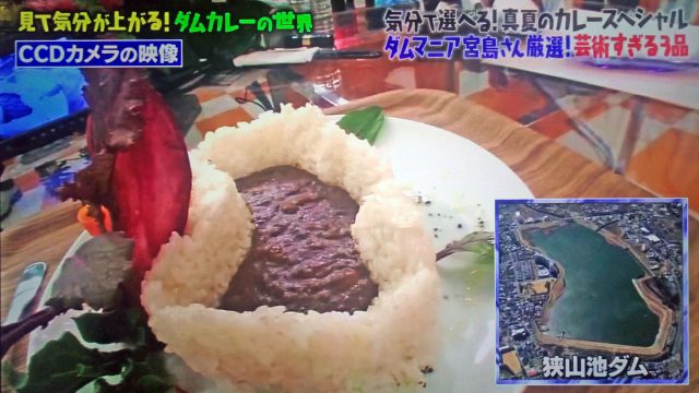 【マツコの知らない世界】真夏のカレースペシャルまとめ（2020年8月11日放送）｜しゃばしゃば・ドライ・レトルト・パン・ダム