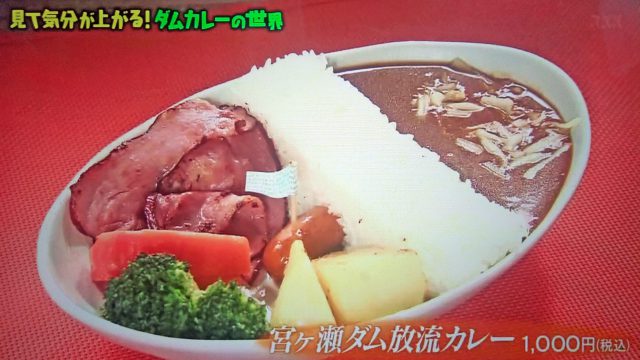 【マツコの知らない世界】真夏のカレースペシャルまとめ（2020年8月11日放送）｜しゃばしゃば・ドライ・レトルト・パン・ダム