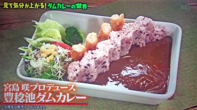 【マツコの知らない世界】真夏のカレースペシャルまとめ（2020年8月11日放送）｜しゃばしゃば・ドライ・レトルト・パン・ダム