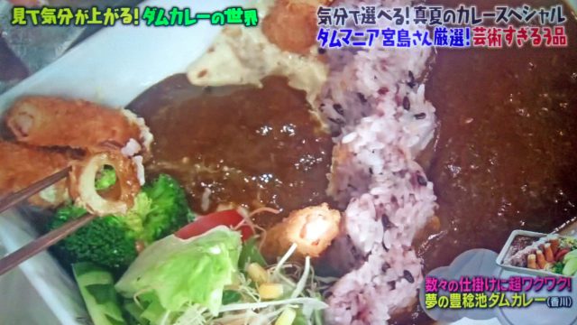 【マツコの知らない世界】真夏のカレースペシャルまとめ（2020年8月11日放送）｜しゃばしゃば・ドライ・レトルト・パン・ダム