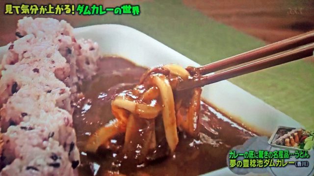 【マツコの知らない世界】真夏のカレースペシャルまとめ（2020年8月11日放送）｜しゃばしゃば・ドライ・レトルト・パン・ダム