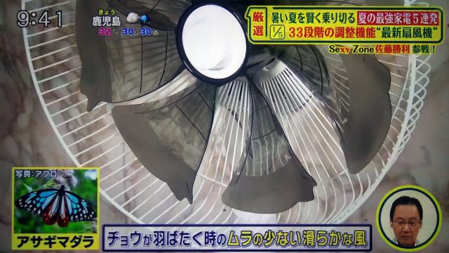 【シューイチ】夏家電まとめ｜プラズマクラスター扇風機・空調寝具・ギガたこ焼き器・フランクフルトメーカー・BALMUDAスピーカー・着るクーラー