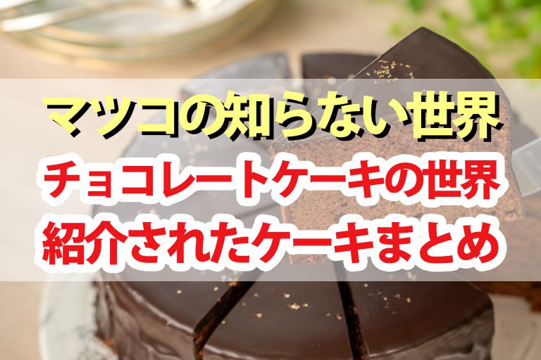 【マツコの知らない世界】チョコレートケーキ12選｜通販お取り寄せ＆名店をパティシエのサントス・アントワーヌさんが厳選