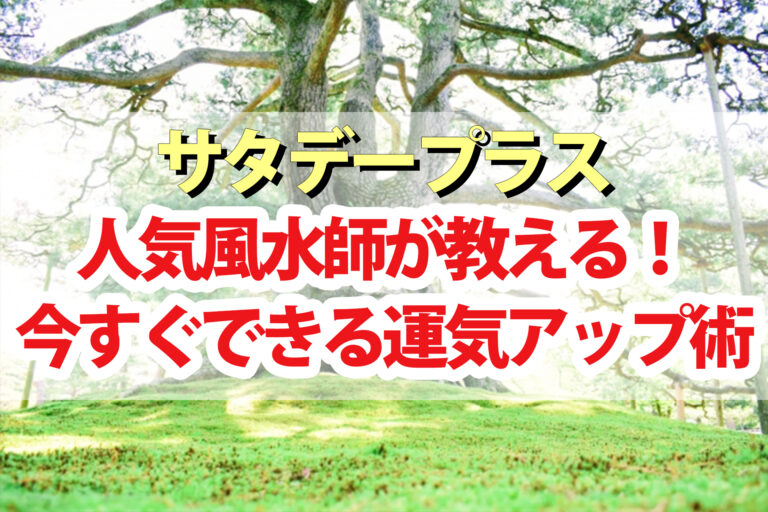 【サタプラ】風水師の天野千恵里さんが教える運気アップ術｜金運を爆上げする開運アイテム