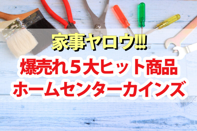 【家事ヤロウ】カインズ爆売れ5大ヒット商品｜まな板シート 立つホウキなど