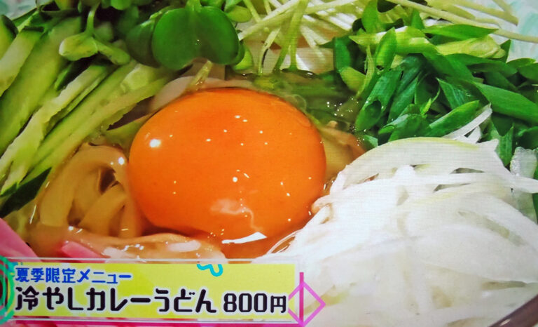 【夜会】生田斗真おすすめ！ロサバリエ冷やしカレーうどんを紹介