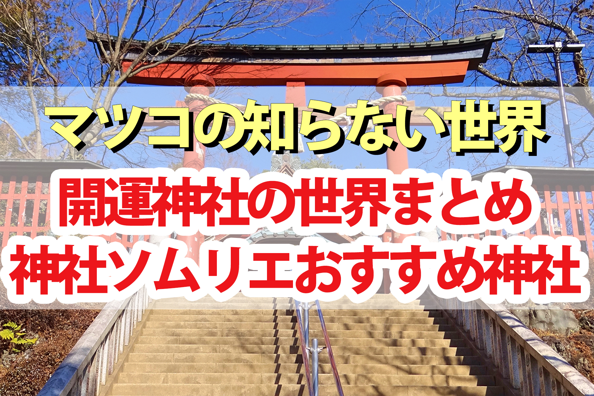 【マツコの知らない世界】開運神社の世界まとめ｜神社ソムリエおすすめ神社