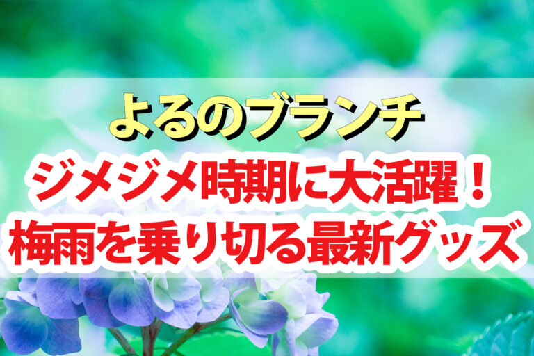 【よるのブランチ】梅雨を乗り切る最新便利グッズ｜防災傘 スティックタオル 除菌タンブラー 快眠抱き枕など