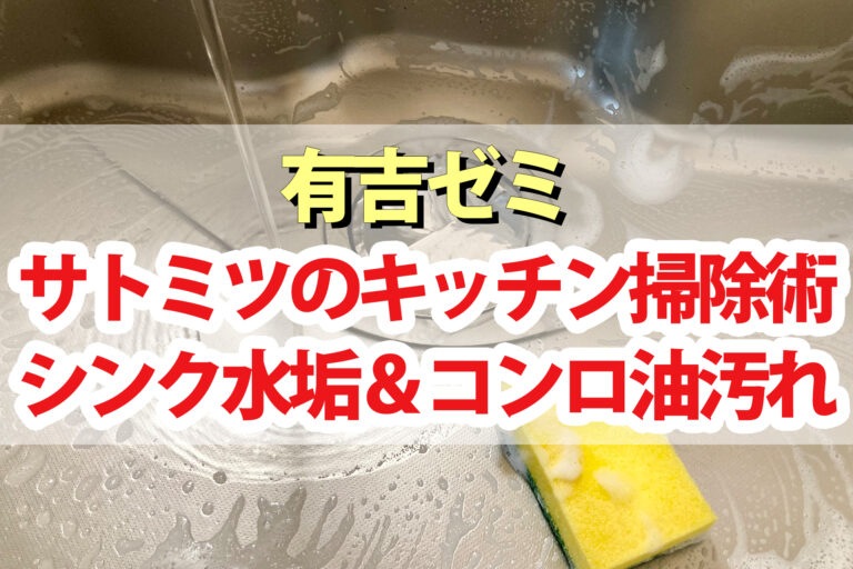 【有吉ゼミ】掃除芸人サトミツのキッチン掃除術｜シンク水垢落とし洗剤 コンロ油汚れ防止コーティング 掃除グッズ