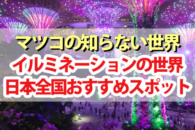 【マツコの知らない世界】イルミネーションの世界！日本全国おすすめスポット