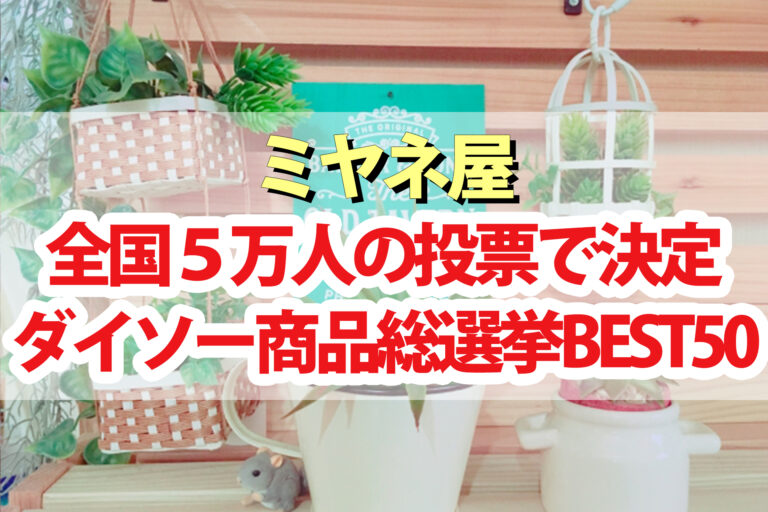 【ミヤネ屋】ダイソー総選挙結果100均人気商品ランキング2023ベスト50