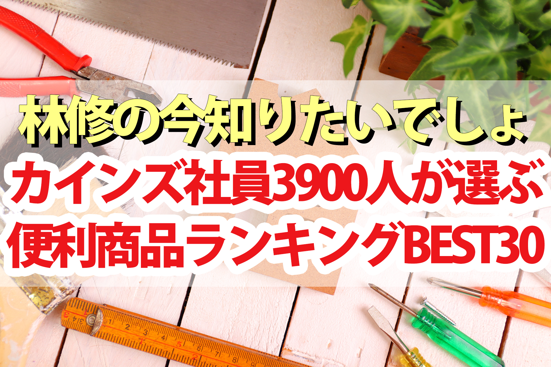 【林修の今知りたいでしょ】カインズ便利グッズ人気商品ランキングBEST30