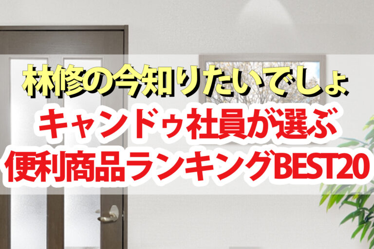 【林修の今知りたいでしょ】キャンドゥ100均便利グッズランキングBEST20