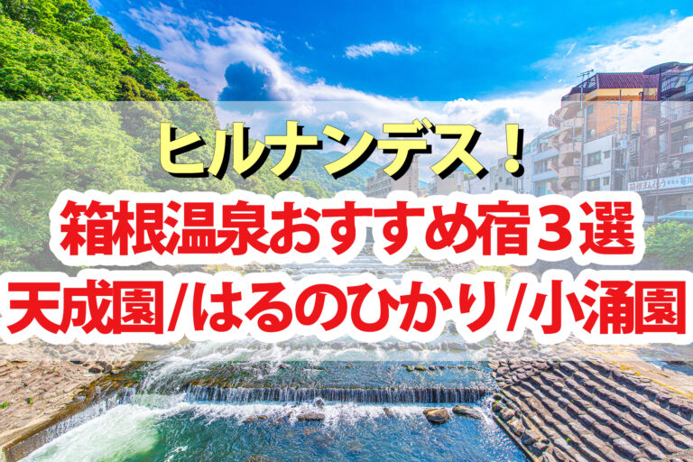 【ヒルナンデス】箱根温泉おすすめ旅館 天成園 養生館はるのひかり ホテル小涌園