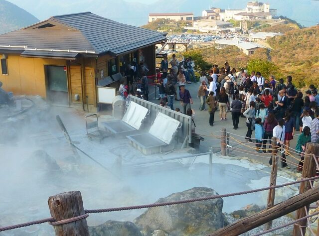 【ヒルナンデス】箱根温泉おすすめ旅館 天成園 養生館はるのひかり ホテル小涌園