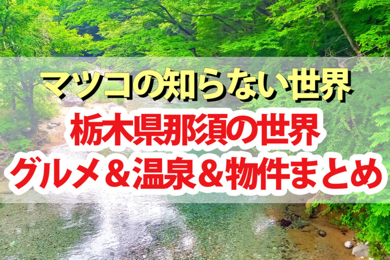 【マツコの知らない世界】那須の世界！高原グルメ＆天然温泉＆格安物件まとめ