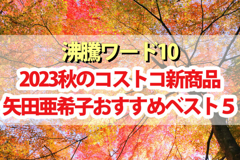 【2023年秋版】矢田亜希子おすすめコストコ新商品BEST5【沸騰ワード10】