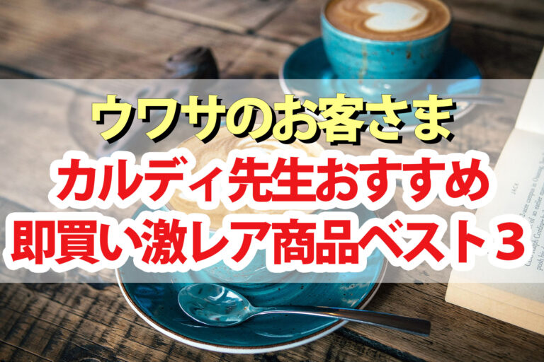 【ウワサのお客さま】カルディ先生おすすめ即買い激レア商品2024ベスト3