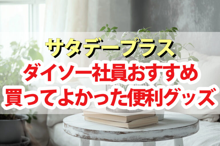 【サタプラ】ダイソー社員が選ぶ買ってよかったおすすめ便利グッズランキング