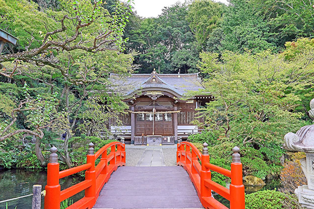 【ホンマでっかTV】開運神社『貫井神社＆小網神社』占い評論家LoveMeDo先生おすすめ運気が上がる2025年のパワースポット