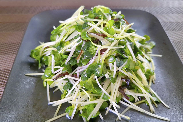 【あさイチ】かいわれ新生姜しらす和えのレシピ(笠原将弘)朝イチみんなゴハンだよ