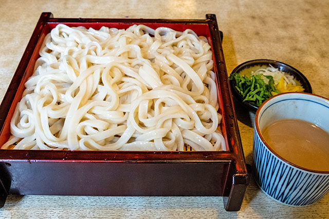 【ヒルナンデス】ヨーグルトごまダレうどんのレシピ 発酵食品で腸活料理