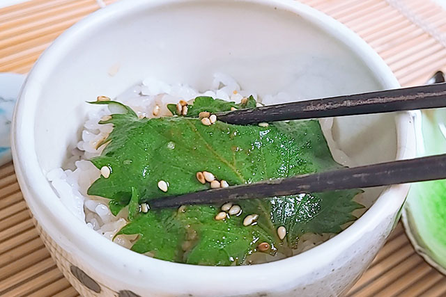 【あさイチ】青じそナムルのレシピ(黄川田としえ)朝イチみんなゴハンだよ
