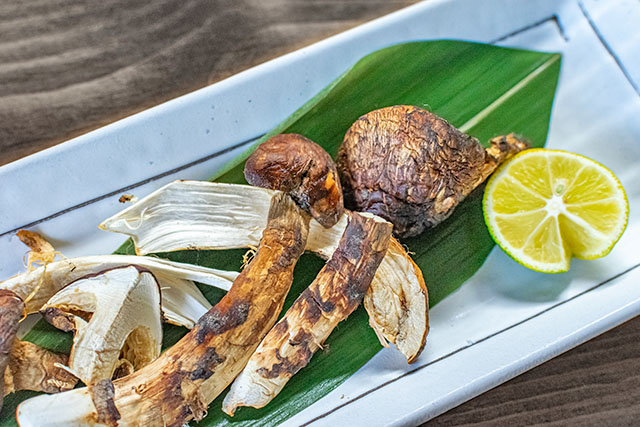 【相葉マナブ】焼き松茸のレシピ 長野県上田市の松茸