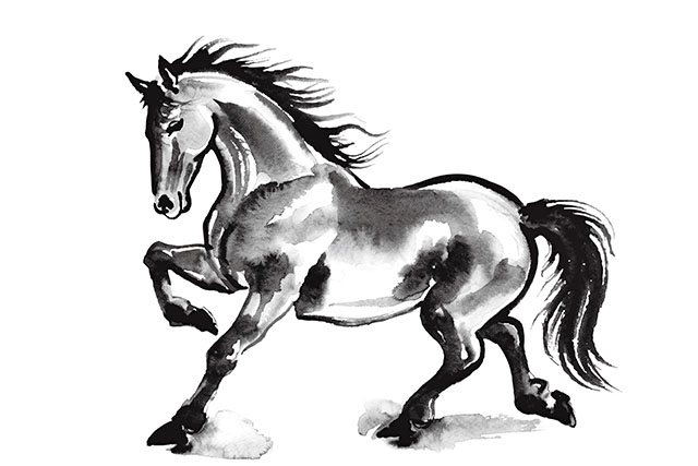 【ゴゴスマ】占い2026運勢ランキング干支×血液型で水晶玉子が占う1位~48位の結果