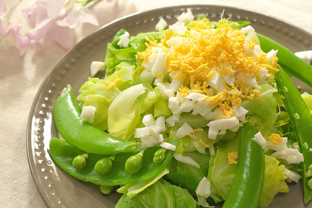 【きょうの料理】キャベツとスナップえんどうのマスタードドレッシングのレシピ 杉本節子さんのベジごはん