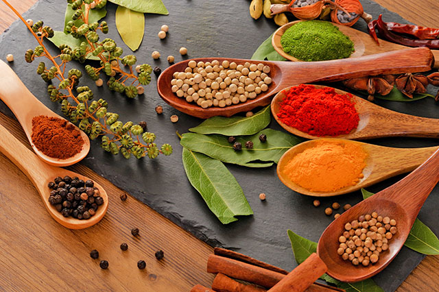 【サタプラ】カルディ最新グルメ2026雑誌編集者が本音で選ぶ