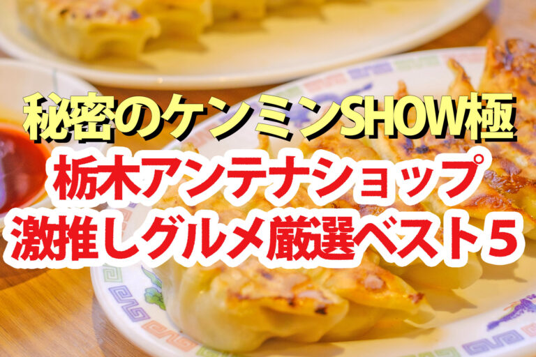 【ケンミンショー】栃木グルメBEST5『とちまるショップ』アンテナショップおすすめ